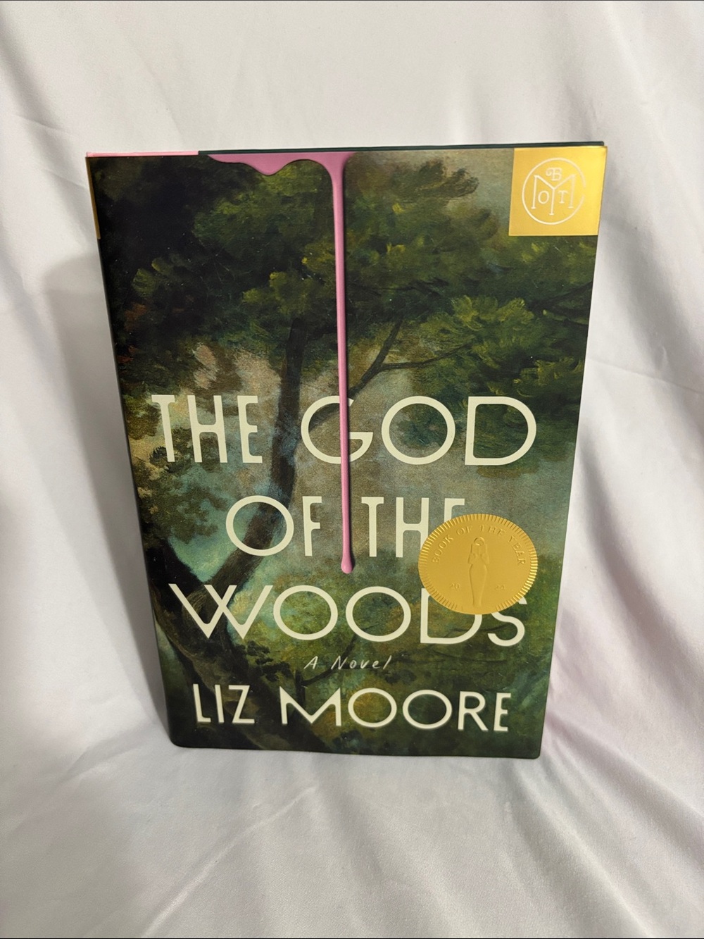 The God of the Woods by Liz Moore